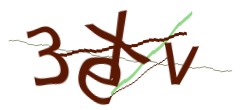 Identifying code