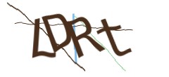 Identifying code