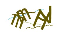 Identifying code