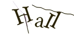 Identifying code