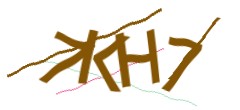 Identifying code