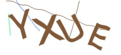 Identifying code