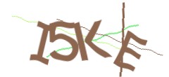Identifying code