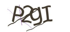 Identifying code