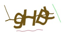 Identifying code