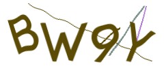 Identifying code