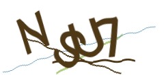Identifying code