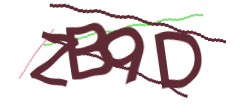Identifying code