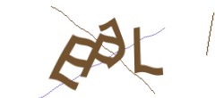 Identifying code