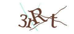 Identifying code
