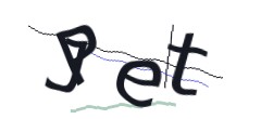 Identifying code