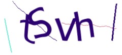 Identifying code