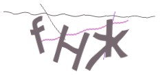 Identifying code