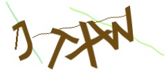 Identifying code