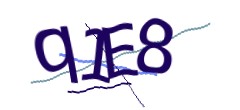 Identifying code