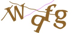 Identifying code