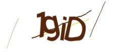Identifying code