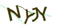 Identifying code