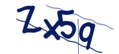 Identifying code