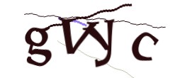 Identifying code