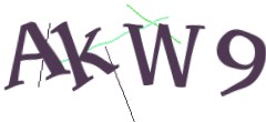 Identifying code