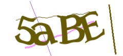 Identifying code