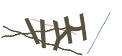 Identifying code