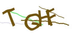 Identifying code