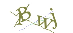 Identifying code