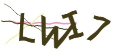 Identifying code