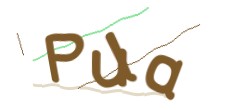 Identifying code