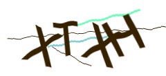 Identifying code
