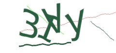 Identifying code