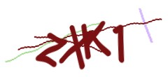Identifying code