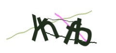 Identifying code