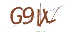 Identifying code