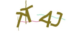 Identifying code