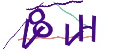 Identifying code