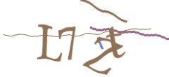 Identifying code