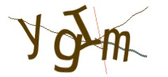 Identifying code