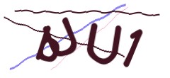 Identifying code