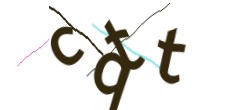 Identifying code