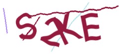 Identifying code