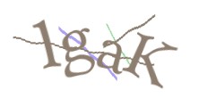Identifying code
