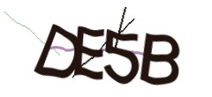 Identifying code