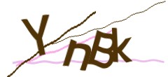 Identifying code