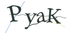 Identifying code