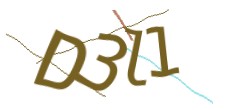 Identifying code