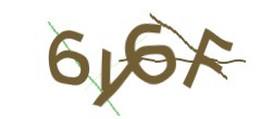 Identifying code
