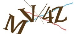 Identifying code